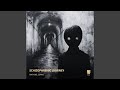 Schizophrenic Journey