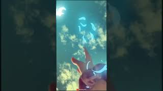 Kinna Chir Song Status | By Kaushik Rai | Aesthetic Status | screenshot 3