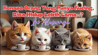 Download Lagu JANGAN ABAIKAN..!! - 7 Manfaat Pelihara Kucing Untuk Kesehatan MP3 Download Lagu JANGAN ABAIKAN..!! - 7 Manfaat Pelihara Kucing Untuk Kesehatan MP3