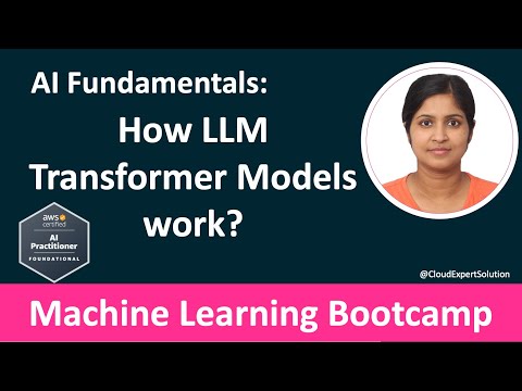 AIF-C01 Module 1.3 - How Transformer Models Work?
