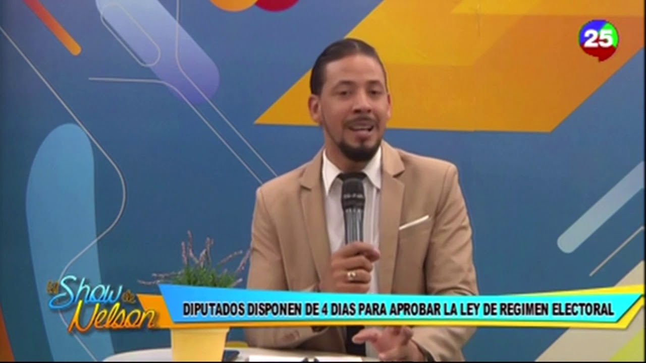 Diputados disponen de 4 días para aprobar la Ley de Régimen Electoral - El Show de Nelson entrevista a profundidad