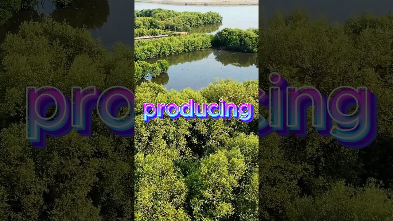 Testing Your Common Sense! 🧠 ⭕❌ Quiz Challenge