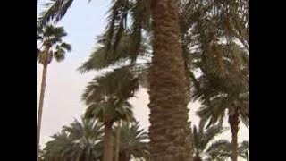 ماهي اسباب انسحاب art  من التلفزيون الرياضي ؟