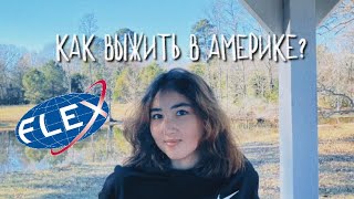 ЛУЧШИЕ СОВЕТЫ ФИНАЛИСТАМ ПРОГРАММЫ FLEX🇺🇸