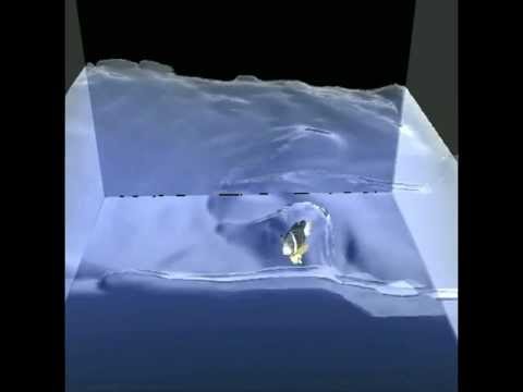 Fluid Simulation CUDA