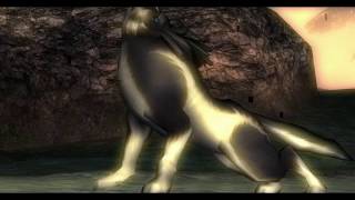 Link Transforms Into A Wolf In Hd