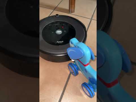 Dog toy gets caught by roomba! #roadto100K #fypシ゚ #shorts