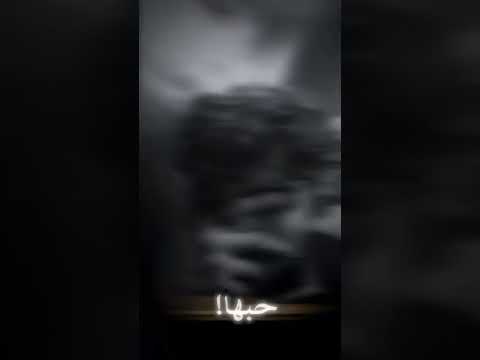 سيلاوي خليني مع حالي لا لا ترجعلي