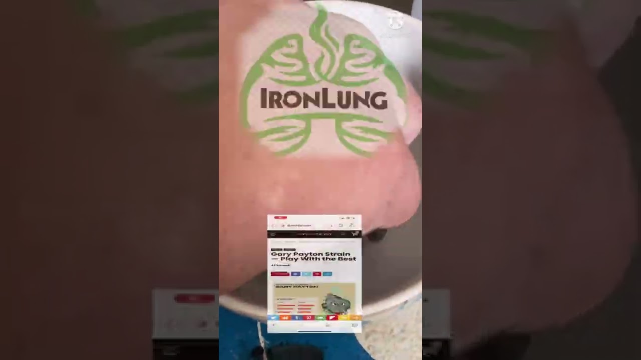 Gary Payton Strain Review