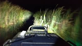 Prodigy running skinny boat trails at 3am