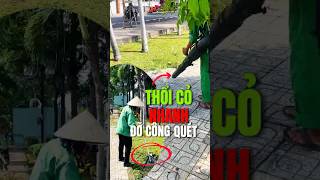 Thổi cỏ nhanh đỡ công phải quét | Máy thổi lá Greenworks #greenworks #maythoila #sanvuon