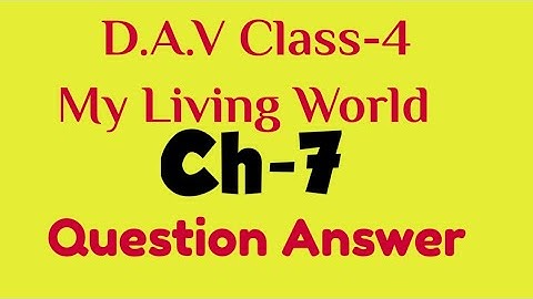 DAV CLASS 4 SCIENCE CHAPTER 7 FOOD||QUESTION ANSWER ||ADARSH 999||MY LIVING WORLD
