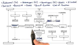 Concept Map 8 Returns - Tales from the Genome