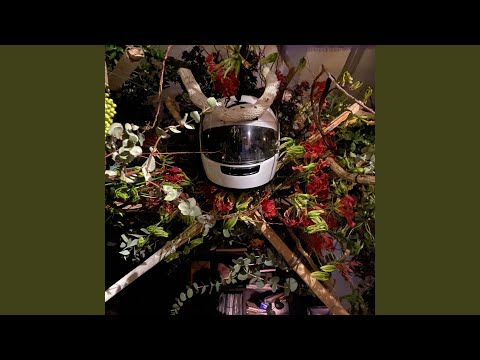 Tonton ひょっとこ (feat. 本田Q, YUKKO!, GoRo the Vibratian & Final Drop) di YouTube