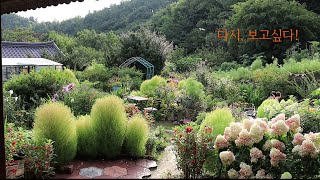 [Часть 1] Сад корейского загородного дома с разнообразными весенними цветами~!!