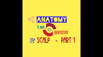 SCALP - Human Anatomy - Part 1 - 5 min dentistry.
