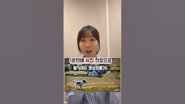 사진으로 움직이는 동영상 만들기