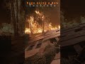 Who else hates the bow? #huntshowdown #gaming #shortsgameplay #shorts