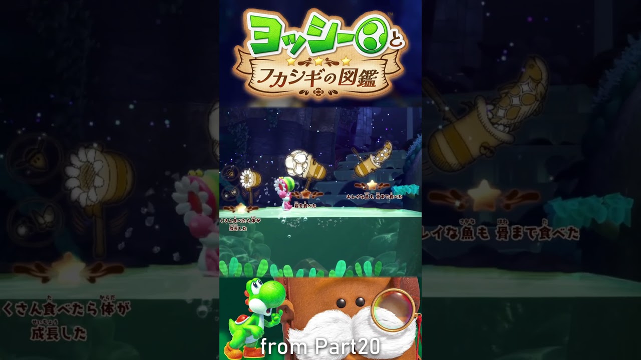 ヨッシー My Summer Independent Research Project :20 [Yoshi and the