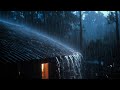 Quiet Forest Shelter with Steady Rain Sounds 24/7 -29