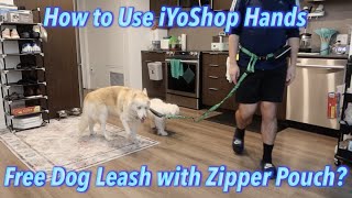 Dual Padded Handles and Durable Bungee for Small Medium and Large Dogs iYoShop Hands Free Dog Leash with Zipper Pouch 