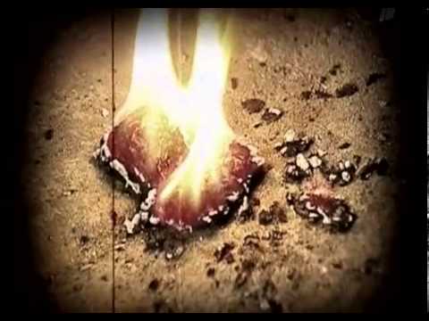Среда обитания: Осторожно ремонт!