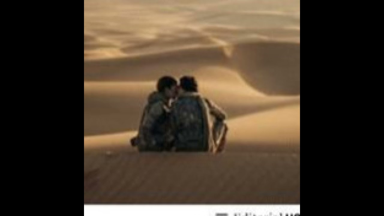 El cine como espectáculo-Las películas que nos hipnotizan analizadas con agudeza y precisión