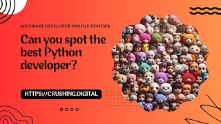 Details Python developer profile reviews Guide