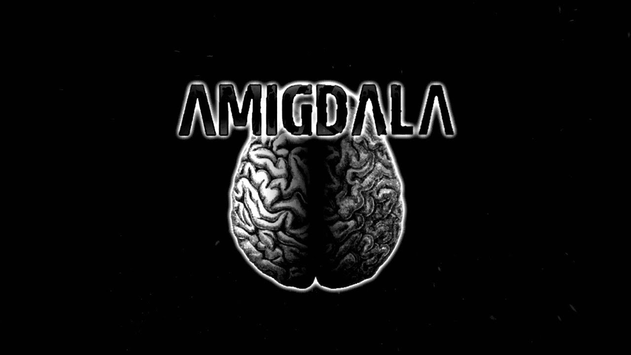 amigdala youtube amigdala youtube