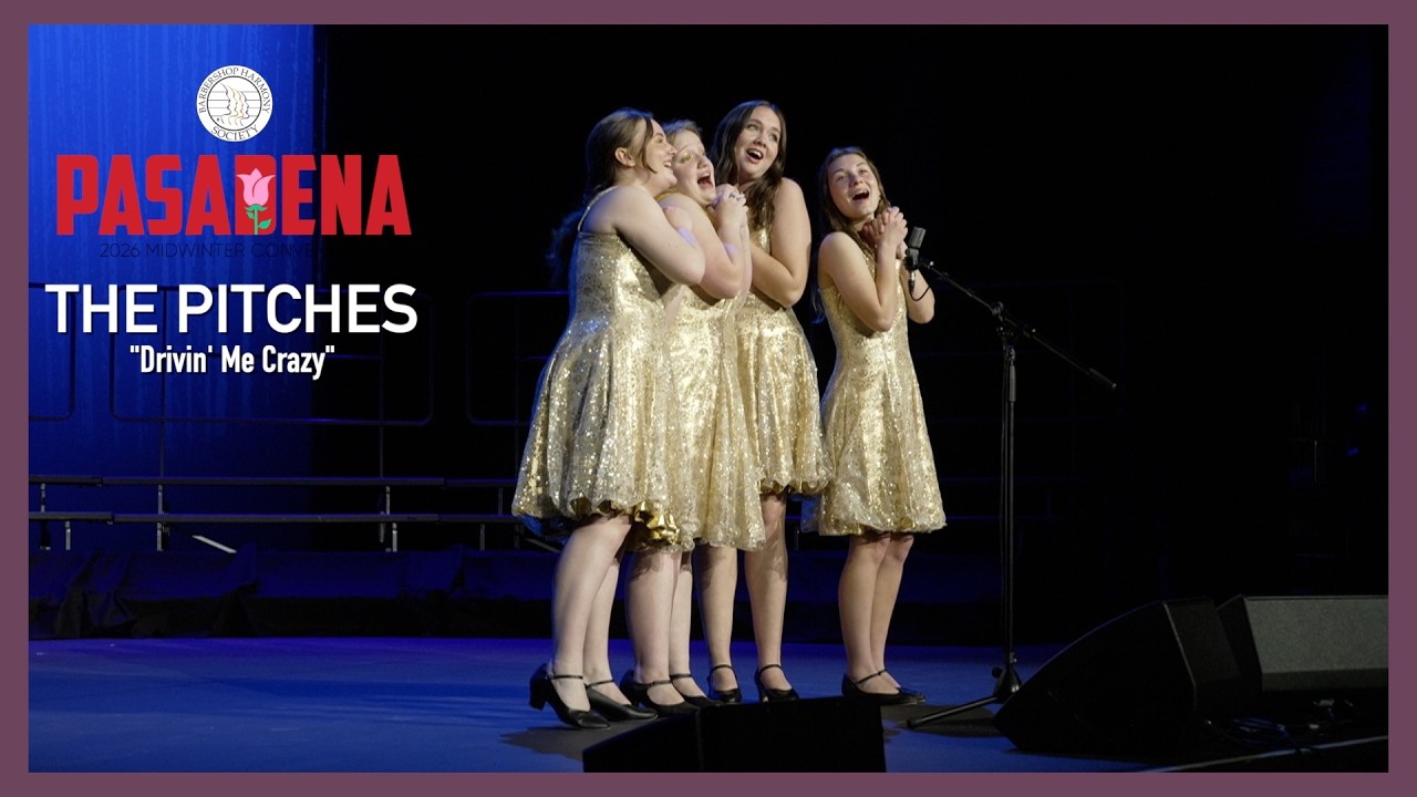 The Pitches - Drwin' Me Crazy