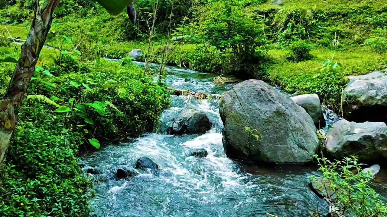 Beautiful River Sound for Relaxation and Meditation – Calming Water Stream to Clear Your