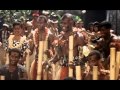 Paradise Hawaiian Style　ハワイアン・パラダイス (1966)