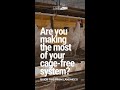 Are you making the most of your cage-free system