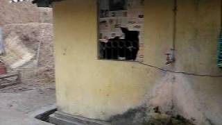 MVI_2617.avi