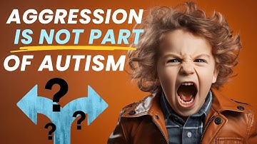 Stop Autism Aggression Now: 4 Steps to Eliminate Aggressive Behavior