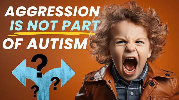 Stop Autism Aggression Now: 4 Steps to Eliminate Aggressive Behavior