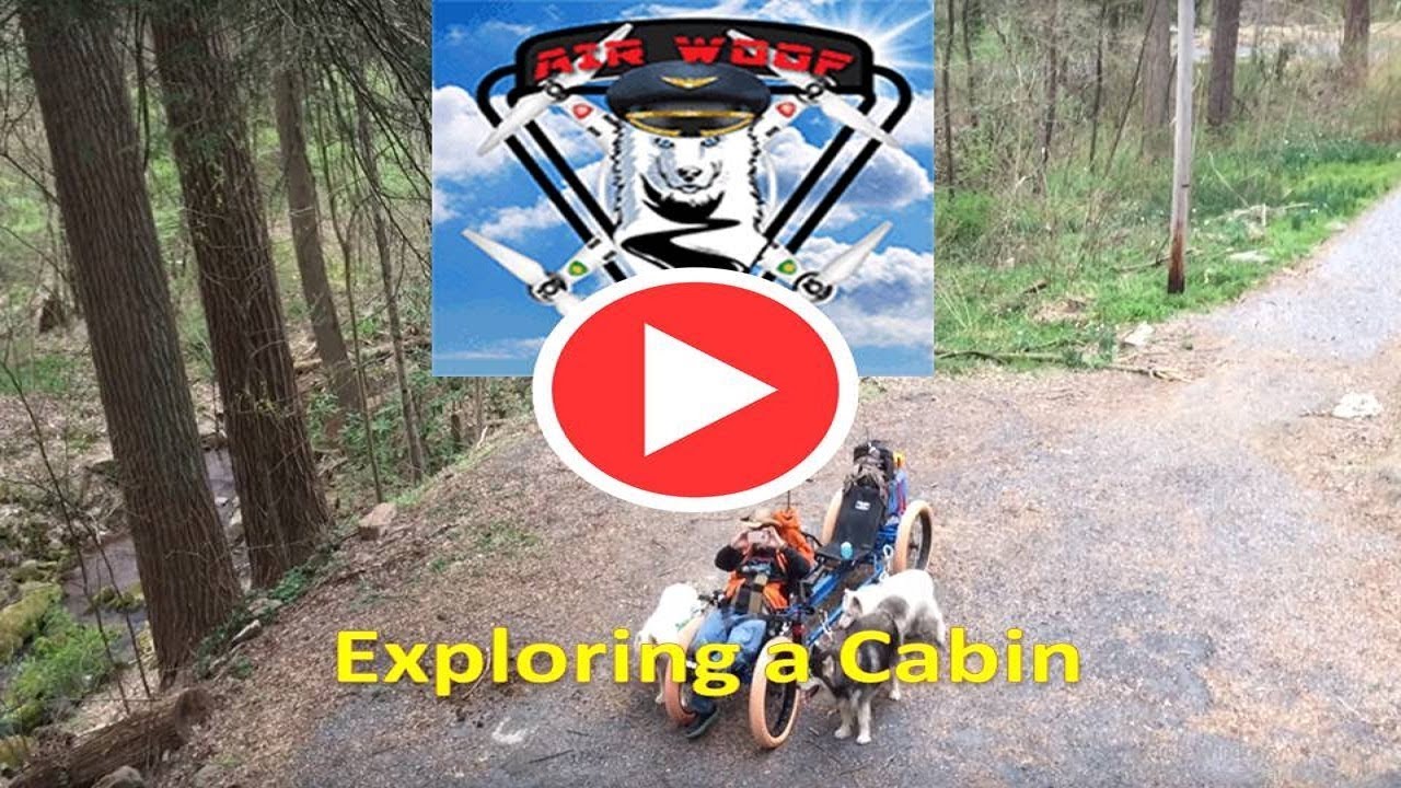 Adventures with my husky dogs Exploring a Cabin on Bear Hole Trail puppy paradise