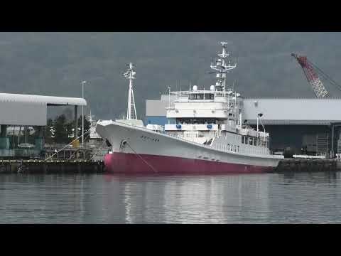 3月30日 第111日光丸は23日水揚げ(The No. 111 Nikko Maru landed its catch on the 23rd.)