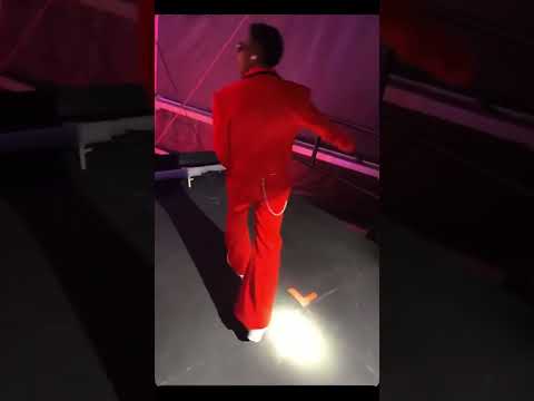 Wizkid'S Electrifying Performance At Tottenham Hotspur Stadium