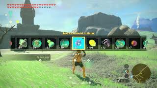 Ice Fruit Item VFX Reference | Zelda TOTK
