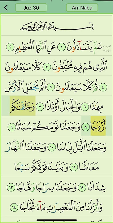 Sura An-Naba | Amma yatasaloon | Juz 30 Surah 78 | No:35 #quran #quranrecitation #qurantilawat