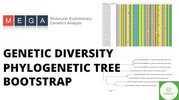 Building phylogenetic tree with Bootstrap value, Intra& Interspecific diversity analysis using MEGA