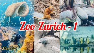 Amazing Zoo Zürich-Part 1 | One of the best Zoo in Europe | Zürich Zoologischer Garten #Switzerland