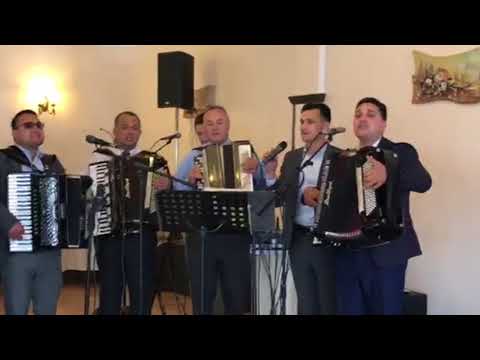Puiu Chibici,fratii Strugariu & Ionut Gontaru