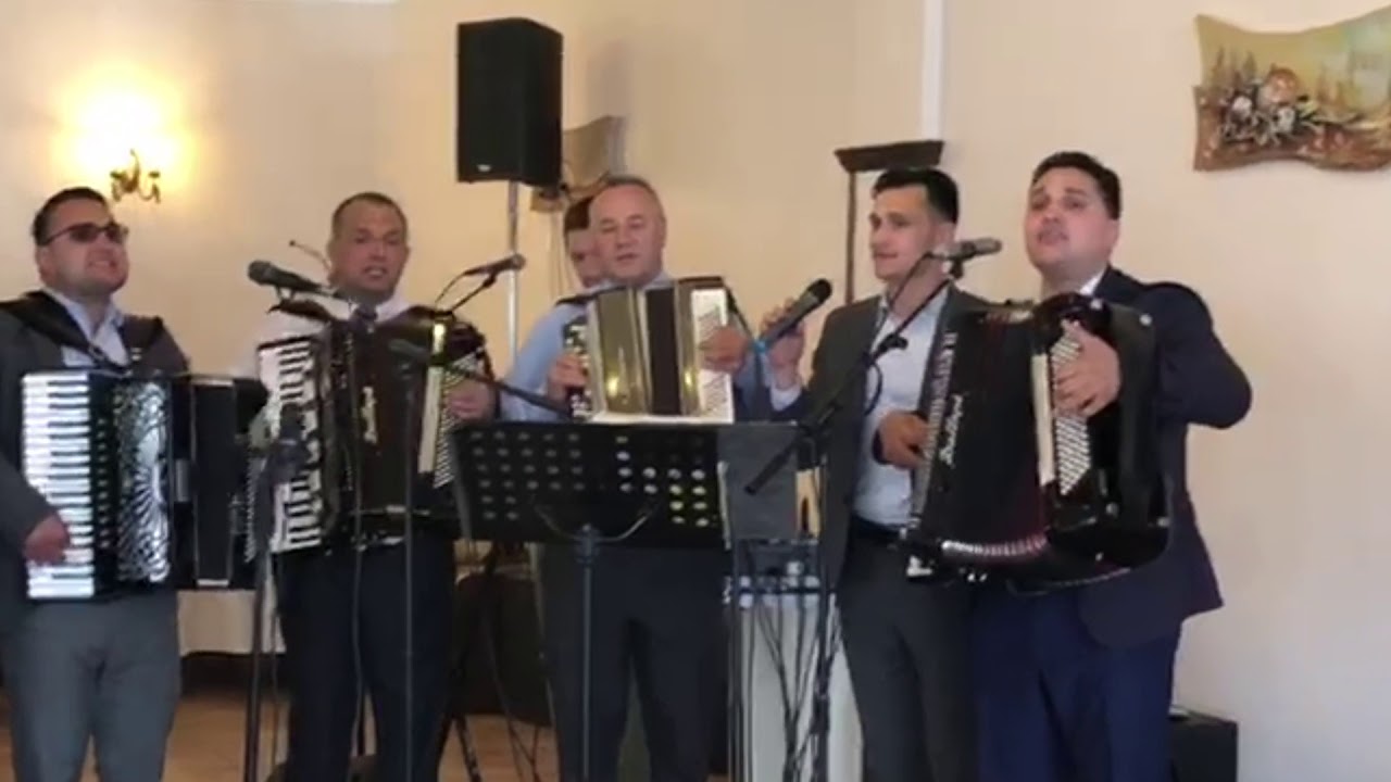 Puiu Chibici,fratii Strugariu & Ionut Gontaru