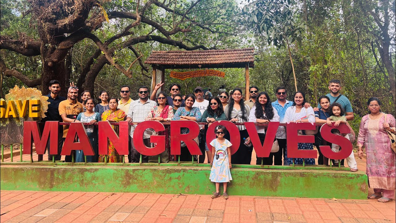 Mangrove board walk at honnawar 
