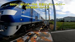 ハロ-キティコンテナを探せ 西濃カンガルーライナー 5050レ EF210-346 5051レ EF210-114 5月18日