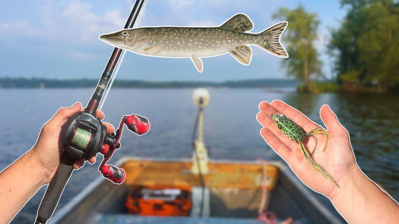 New Jon Boat Maiden Voyage – BIG FISH!!
