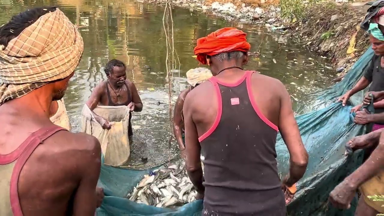 Zinda Machaliko kaise Pakkala Jaata Hai Yeh jankari Zaroor 🐋🐋🐋