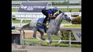 $3M 2023 Pegasus World Cup Championship 1-1/8mi Dirt Gulfstream Park 1/28/23